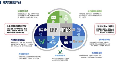 上海軟件開發(fā) 機遇、挑戰(zhàn)與未來展望